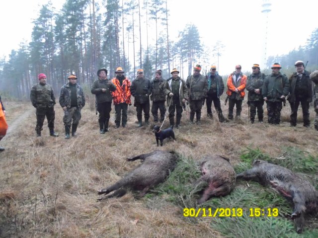Polowanie zarządów 2013